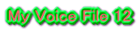 My Voice File 12