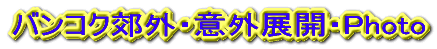 �o���R�N�x�O�E�ӊO�W�J�EPhoto